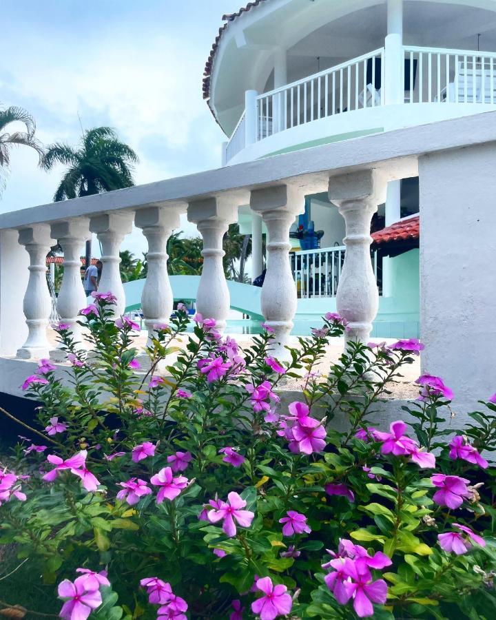 Aparthotel Palms Lounge Cabarete Exteriér fotografie