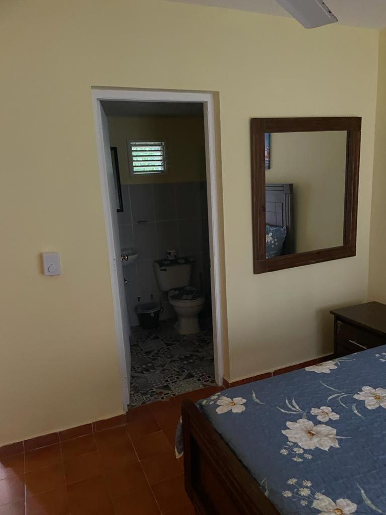Aparthotel Palms Lounge Cabarete Exteriér fotografie