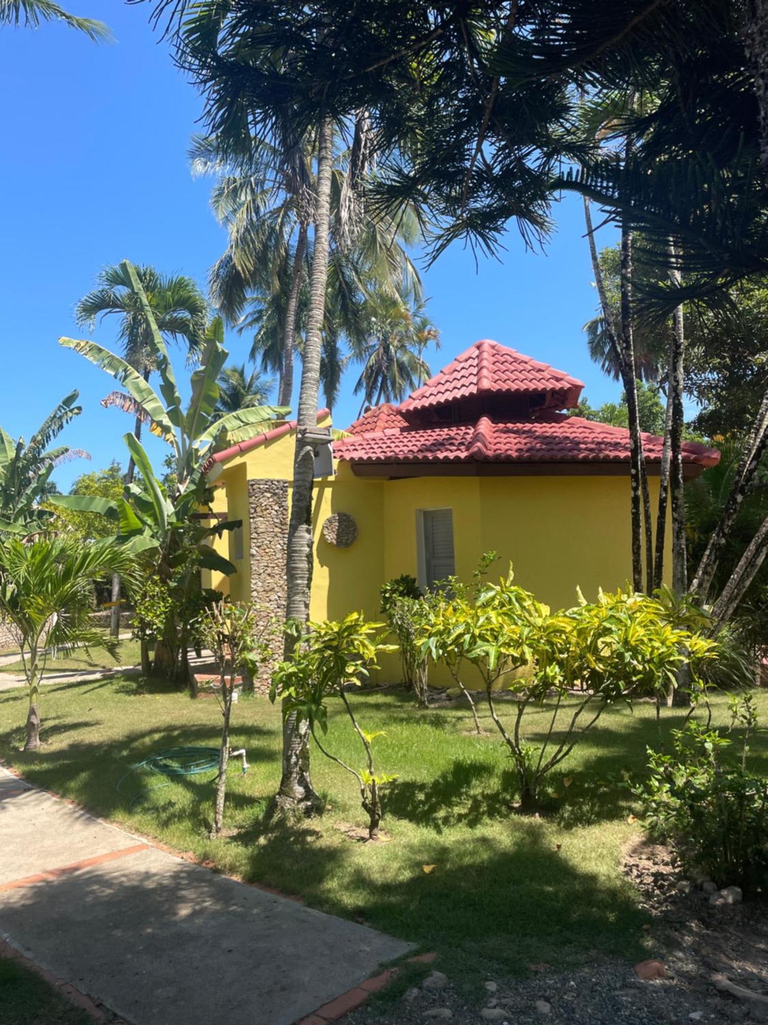 Aparthotel Palms Lounge Cabarete Exteriér fotografie